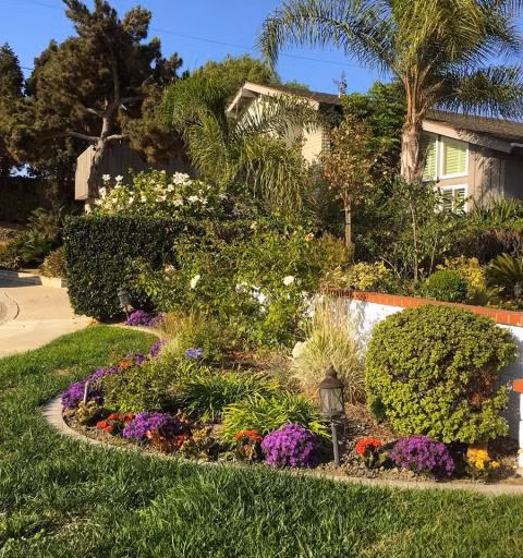 Bao quanh lối dẫn vào nhà là con đường nhỏ với rực rỡ sắc màu của cây cảnh, cây cỏ, hoa lá, điển hình cho những ngôi nhà ở vùng quê yên bình.