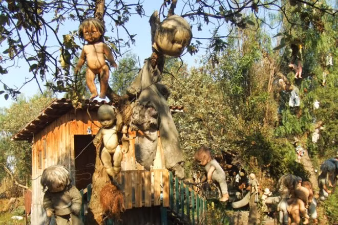 6. Đảo búp bê – Mexico: Một hòn đảo nhân tạo nhỏ gần thủ đô Mexico được đặt tên là “Đảo búp bê” với bàn tay sáng tạo của nghệ sĩ Don Julian Santana. Theo lời đồn, ông đã chứng kiến một bé gái chết đuối tại đây vào năm 1950 và sợ rằng linh hồn cô sẽ ám ảnh hòn đảo, nghệ sĩ này đã treo những con búp bê đồ chơi để tưởng nhớ và làm dịu sự tức giận của cô bé đó. Santana đã đi thu nhập các loại búp bê khác nhau, bất kể tình trạng của chúng như thế nào. Hiện nay, có hơn 1.500 con búp bê được treo trên hòn đảo. Người chủ điều hành địa điểm thu hút rất đông khách du lịch này cho biết linh hồn của bé gái chết đuối vẫn còn ở đó, và vào ban đêm những con búp bê đều có thể di chuyển và nói chuyện với nhau.