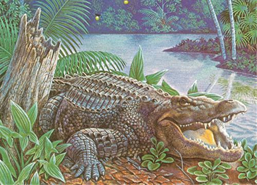 Kham pha ca sau an thit nguoi kinh hoang nhat lich su My