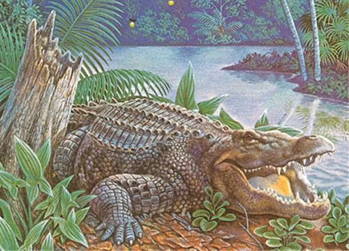 Kham pha ca sau an thit nguoi kinh hoang nhat lich su My