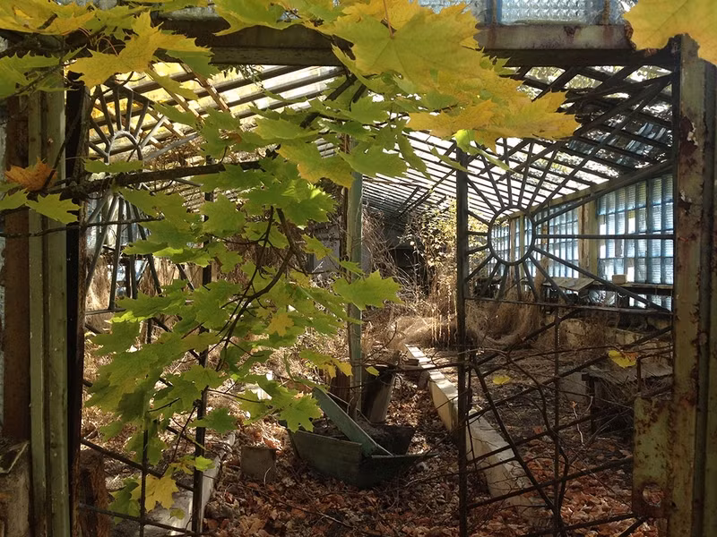 Chum anh lieu linh dot nhap “vung dat chet” Chernobyl o Ukraine-Hinh-10