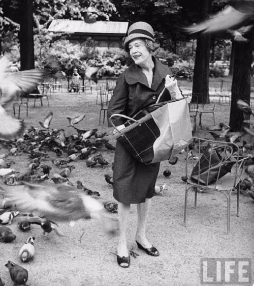 Người phụ nữ cho đàn chim bồ câu ăn trong công viên.