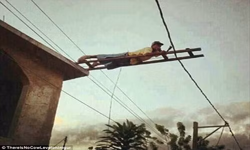 Người đàn ông bắc thang trên...dây điện.