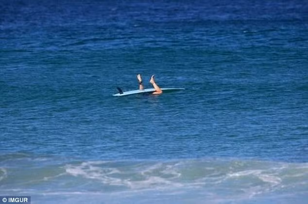 Màn lướt sóng thất bại gây ra tình huống dở khóc dở cười.