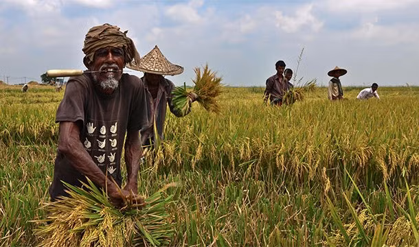 Thời tiết khắc nghiệt và sản lượng nông nghiệp giảm tại các quốc gia đang phát triển dẫn đến các cuộc xung đột và tình trạng di cư.