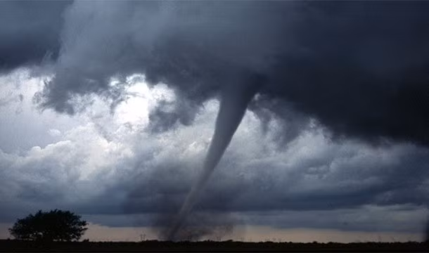 Ngoài ra, những cơn bão nhiệt đới sẽ xảy ra thường xuyên hơn với mức độ tàn phá nghiêm trọng hơn.