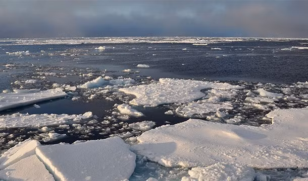 Đến năm 2050, Bắc Cực sẽ gần như hoàn toàn không có băng vào mùa hè.