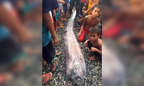 Ngu dan Philippines lo lang khi “rong bien” lien tuc xuat hien