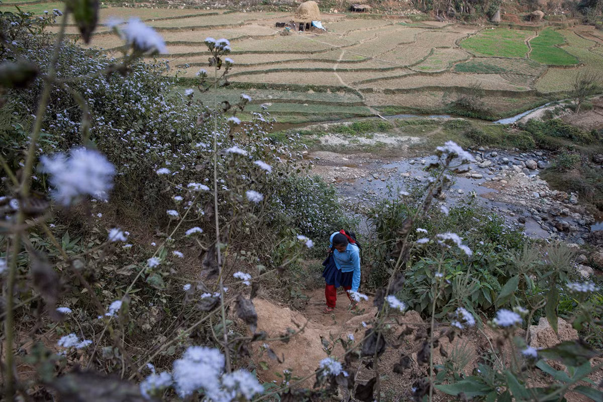 Bé gái đi bộ tới trường học ở huyện Dhading.