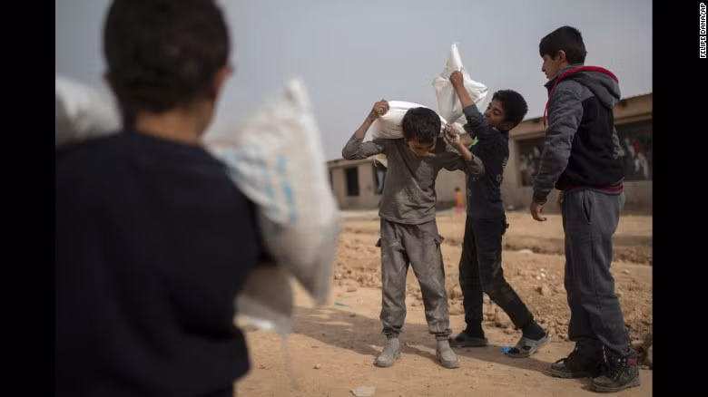 Các bé trai Iraq nhận thực phẩm tiếp tế tại Hassan Sham ngày 10/11.