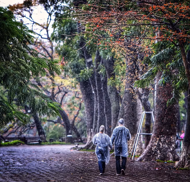 Vào khoảnh khắc giao mùa, thời tiết Hà Nội thay đổi rõ rệt, lúc nắng, lúc rực rỡ ánh nắng chan hòa, có khi lại lảng bảng những cơn mưa bất chợt.