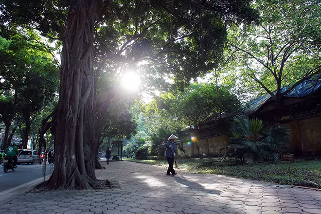 Nắng thu nhuộm vàng con đường, góc phố. Những ngày cuối thu, ta dễ dàng tìm được những khung cảnh yên bình, lãng mạn ngay giữa Hà Nội ồn ào, náo nhiệt.
