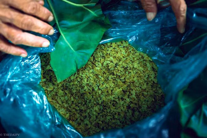 Giữa mùa thu Hà Nội, có lẽ không gì tuyệt hơn là được ngồi một góc nhỏ bên phố cổ giữa buổi chiều thảnh thơi, nghe một bản nhạc cũ và thưởng thức vị bùi ngọt mát lành của hương cốm Hà Nội.