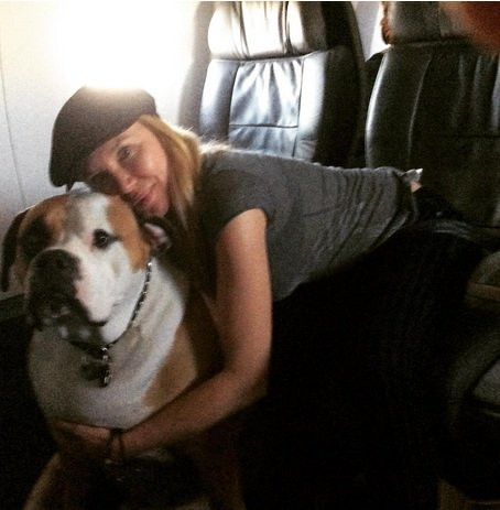 Sot anh cho beo nang 74kg ngoi khoang hang nhat may bay-Hinh-2