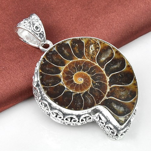 Khi làm đồ trang sức, phần trắng sữa phía bên trong vỏ ốc – được quảng cáo như một loại ngọc thay thế rẻ hơn loại ngọc trai thật, giá 80 USD (khoảng 1,7 triệu) cho loại đeo tai, 225 USD (5 triệu đồng) cho vòng đeo tay, và 489 USD (hơn 10 triệu đồng) cho vòng cổ.