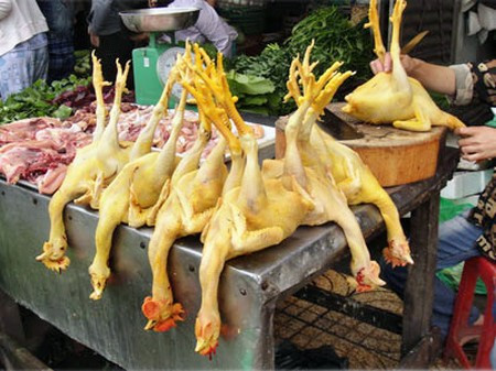 Những con gà có màu vàng đều và đậm thì gà thải có thể đã bị nhuộm bột sắt.