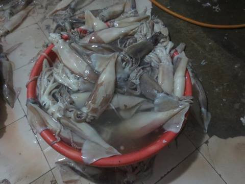 Giá bán lẻ phân đạm, u rê trên thị trường dao động từ 8.000 - 10.000 đồng/kg. Với một kg, số lượng hải sản ướp lạnh có thể lên đến cả tấn. Điều này khiến người tiêu dùng không khỏi rợn người về công nghệ tẩm ướp, giữ tươi hải sản.