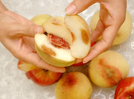 Một trong những chất được xem là "cứu cánh" của lái thương buôn hoa quả chính là CO2,4 D. Chúng là thành phần của chất diệt cỏ nhưng khi pha được pha loãng lại có tác dụng giúp giữ hoa quả tươi lâu hơn. Tuy vậy, 2,4 D là một chất độc và được các chuyên gia khuyến cáo không sử dụng.