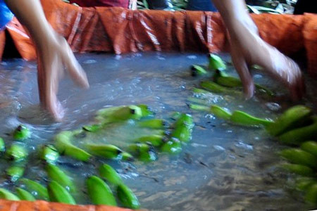 Thuốc diệt cỏ CO2,4 D được bán nhiều trên thị trường với các chai từ 500ml. Nếu ăn phải chất này thực phẩm sẽ làm hại đến sức khỏe, ảnh hưởng cấu trúc gen, đặc biệt với phụ nữ mang thai.