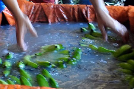 Thuốc diệt cỏ CO2,4 D được bán nhiều trên thị trường với các chai từ 500ml. Nếu ăn phải chất này thực phẩm sẽ làm hại đến sức khỏe, ảnh hưởng cấu trúc gen, đặc biệt với phụ nữ mang thai.