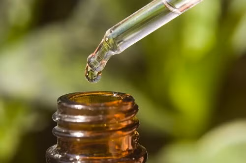 Nhỏ vài giọt tinh dầu chiết xuất từ cây tràm vào các khu vực như bồn tắm, bàn làm việc, các góc tối trong nhà, hoặc thoa dầu tràm lên quần áo, da… cũng hạn chế muỗi đến gần bạn.