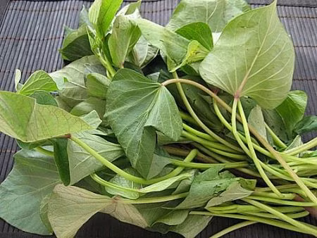 Lá khoai lang cũng là mặt hàng lạ mà người Trung Quốc sang Việt Nam thu mua với giá 10.000 đồng/kg.