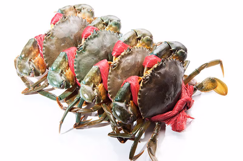 Cân nhắc về mức giá các lái thương rao bán cua biển Cà Mau giả mạo. Thông thường, người bán sẽ rao giá rẻ để hút khách, đồng thời, thêm thắt dây buộc cua để tăng trọng lượng món hàng.