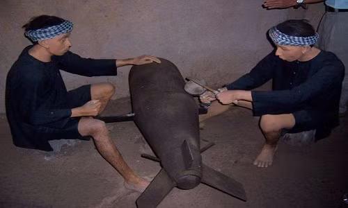 Nhung dieu it biet ve nghe cua bom, buon bom cuoc mang-Hinh-3