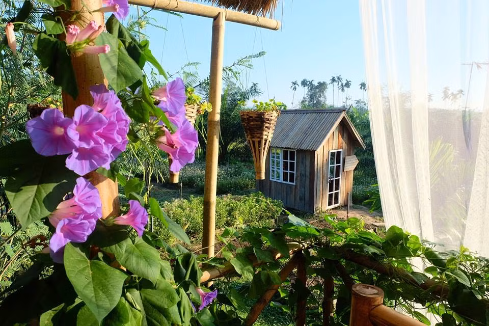 Mỗi góc không gian là sự hòa trộn giữa màu xanh của rau, lá và màu sắc sặc sỡ của nhiều loại hoa khác nhau.