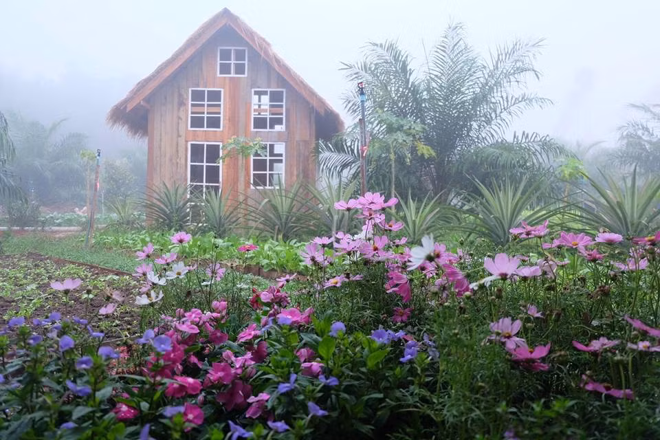 Khu vườn rau sạch đang gây sốt mạng này nằm trong khu du lịch sinh thái Baan Rai I Arun ở Amphoe Muang Ranong, Ranong, Thái Lan.