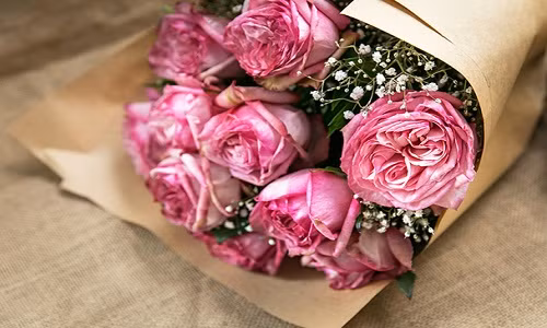 Đắt hơn nhiều lần so với các loại hoa nội địa, hoa 8/3 nhập khẩu có giá từ vài trăm nghìn/bông vẫn thu hút khách dịp 8/3 vì màu sắc độc đáo, hoa đẹp lạ. Hoa hồng Kenya được các cửa hàng hoa rao bán với giá từ 60.000 - 100.000 đồng/bông (tùy màu sắc trắng, đỏ, cam...).