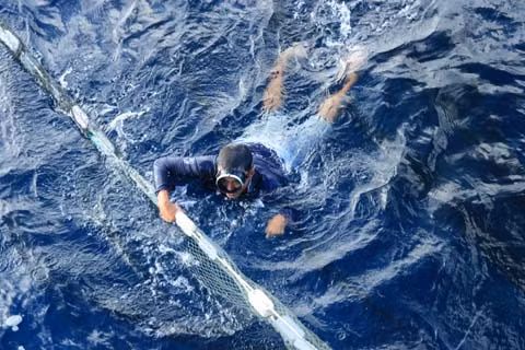 Để đánh bắt được những loại hải sản quý, ngư dân phải cược mạng với biển cả, lặn sâu xuống đáy biển. Hầu hết người lặn biển được trang bị đồ nghề bảo hộ sơ sài, nếu may mắn có thể đổi đời nhờ bán được hải sản tiền tỷ, còn không có thể tai nạn, bị liệt hoặc bỏ mạng vì sóng nước.