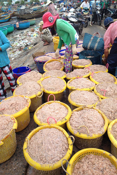 Cach chon ruoc tuoi ngon khong ngam hoa chat-Hinh-4