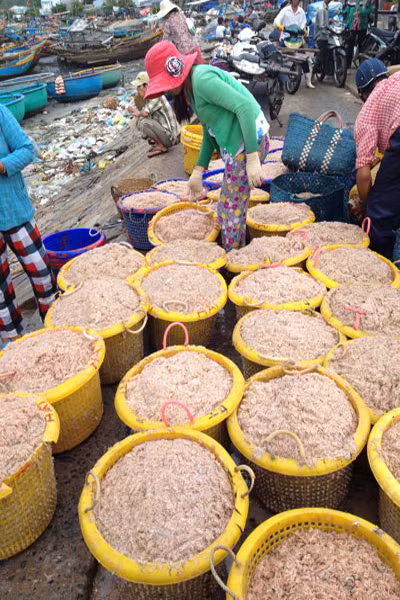 Cach chon ruoc tuoi ngon khong ngam hoa chat-Hinh-4