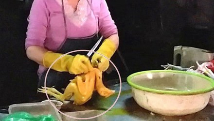 Bất chấp nguy hiểm đến sức khỏe người mua, không ít tiểu thương dùng hóa chất, vecni (dùng làm bóng gỗ) để nhuộm gà vàng ruộm mang đi bán. Ảnh minh họa.