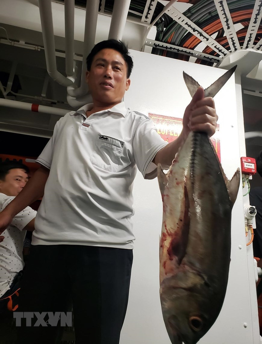 Trai nghiem thu vi khi san ca dem tren bien Truong Sa-Hinh-8