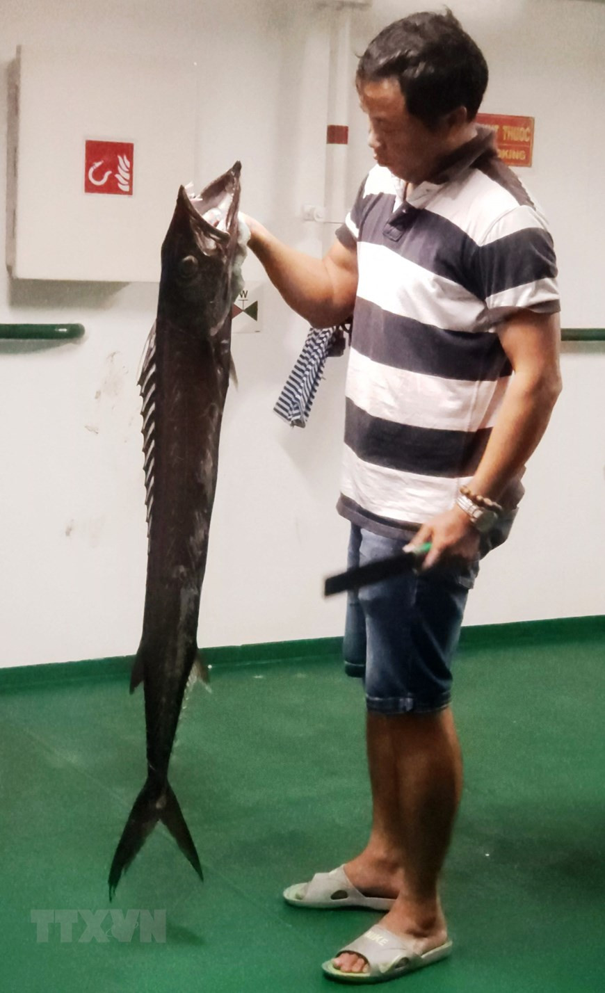 Trai nghiem thu vi khi san ca dem tren bien Truong Sa-Hinh-3