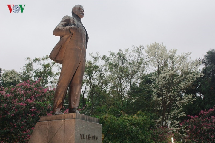 Giữa sắc màu rực rỡ của nhiều loại hoa xuân thì hoa sưa lại là những khoảng trắng cân bằng. Sự nhẹ nhàng của loài hoa này như trung hòa cả một không gian rực rỡ.