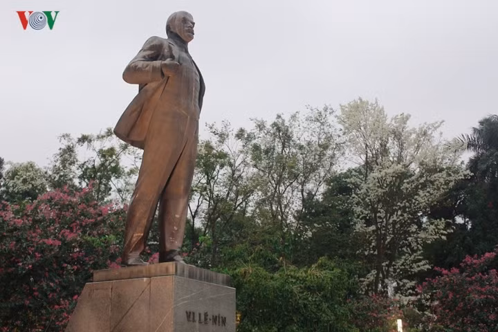 Giữa sắc màu rực rỡ của nhiều loại hoa xuân thì hoa sưa lại là những khoảng trắng cân bằng. Sự nhẹ nhàng của loài hoa này như trung hòa cả một không gian rực rỡ.