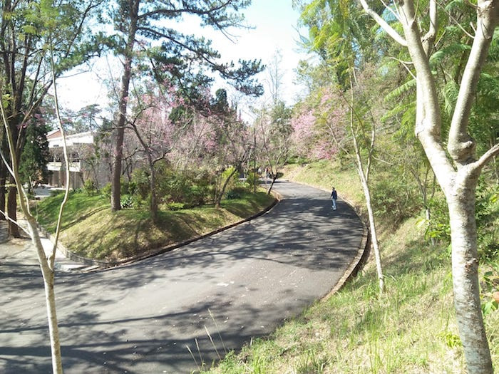 Từ cổng đi vào chúng ta có thể thấy những con đường uốn lượn theo ven đồi cùng với những cái tên độc đáo như đường Hướng Dương, đường Thông Reo, đường Anh Đào. (Ảnh: Fb Niê Đuyết) 