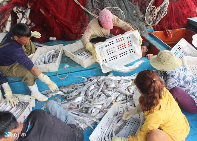 Thuyền viên Đào Văn Hưng (trú xã Quỳnh Long) cho biết mẻ cá hố đánh bắt ở ngư trường tỉnh Hà Tĩnh. Các thuyền viên trên tàu đều phấn khởi vì đầu năm đã được lộc biển giá trị lớn. Sau chuyến đi này, các ngư dân sẽ nghỉ qua rằm tháng Giêng (ngày 15 âm lịch) lại tiếp tục chuẩn bị ngư cụ để ra khơi.