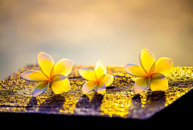 Cung gap Duc Phat, 3 nguoi co 3 ket cuc khac nhau va bai hoc xuong mau-Hinh-2