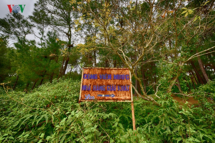 Hình ảnh khu công viên bỏ hoang tự nhiên nổi tiếng ở Huế - Hình 9 Hinh anh khu cong vien bo hoang tu nhien noi tieng o Hue-Hinh-9