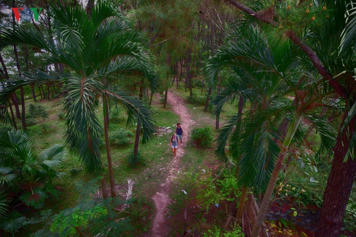 Hình ảnh khu công viên bỏ hoang tự nhiên nổi tiếng ở Huế - Hình 16 Hinh anh khu cong vien bo hoang tu nhien noi tieng o Hue-Hinh-16