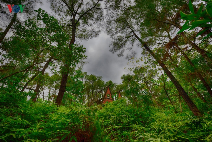 Hình ảnh khu công viên bỏ hoang tự nhiên nổi tiếng ở Huế - Hình 10 Hinh anh khu cong vien bo hoang tu nhien noi tieng o Hue-Hinh-10