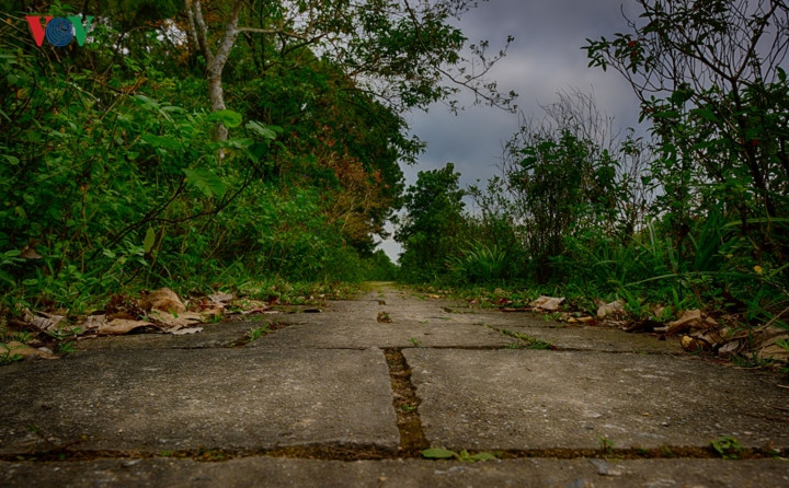 Hình ảnh khu công viên bỏ hoang tự nhiên nổi tiếng ở Huế - Hình 11 Hinh anh khu cong vien bo hoang tu nhien noi tieng o Hue-Hinh-11