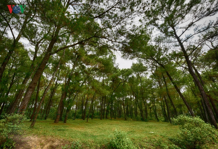 Hình ảnh khu công viên bỏ hoang tự nhiên nổi tiếng ở Huế - Hình 2 Hinh anh khu cong vien bo hoang tu nhien noi tieng o Hue-Hinh-2