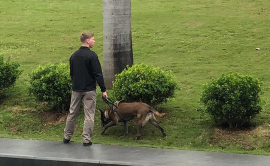 Không chỉ có lực lượng mật vụ, cận vệ, lực lượng chó nghiệp vụ K-9 còn được mang theo sang Việt Nam trong Hội nghị Thượng đỉnh Mỹ-Triều Tiên năm nay. (Ảnh: một nhân viên mật vụ Mỹ dắt chó kiểm tra kĩ lưỡng nguy cơ nguy hiểm ở khách sạn J.W.Mariott - địa điểm được cho sẽ là nơi ông Trump cư trú trong thời gian tham dự Hội nghị)