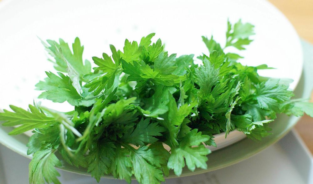 Điểm danh 3 loại rau đánh tan béo phì mà không phải ai cũng biết - Hình 3 Diem danh 3 loai rau danh tan beo phi ma khong phai ai cung biet-Hinh-3