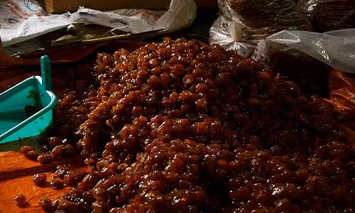 Phat hien 2 tan mut Tet sieu ban chuan bi dem ra cho ban